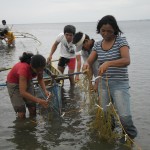 SEAWEED Project (29)