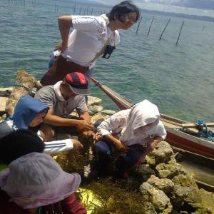 SEAWEED Project (8)