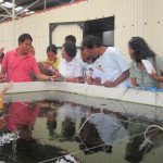 SEAWEED Project Study Tour (6)