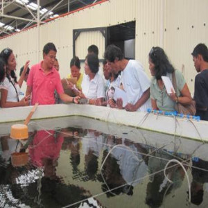 SEAWEED Project Study Tour (6)