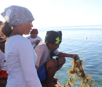 Seaweed farming Technology Training