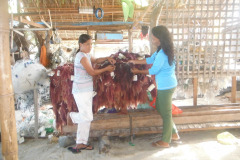 Seaweed-farming-Technology-Training-15