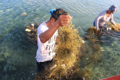 Seaweed-farming-Technology-Training-16