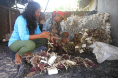 Seaweed-farming-Technology-Training-19