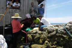 Seaweed-farming-Technology-Training-21