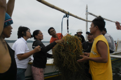 Seaweed-farming-Technology-Training-31