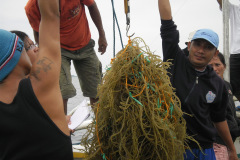 Seaweed-farming-Technology-Training-32