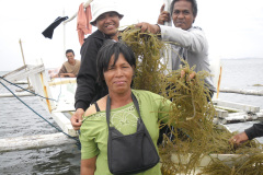 Seaweed-farming-Technology-Training-33