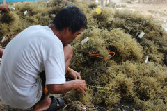 Seaweed-farming-Technology-Training-4