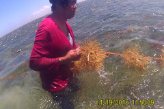 Seaweed-farming-Technology-Training-6