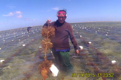 Seaweed-farming-Technology-Training-8