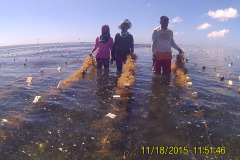 Seaweed-farming-Technology-Training-9