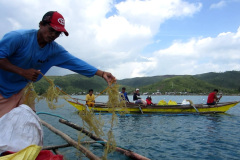 cultivation-line-in-pinalangga-1