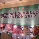 seaweed convention (4)